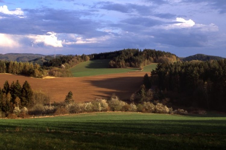 Vysočina