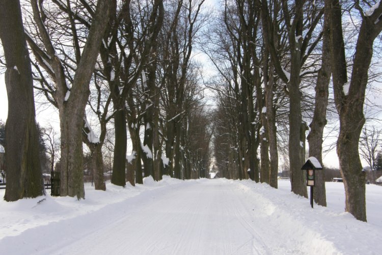Ranská avenue