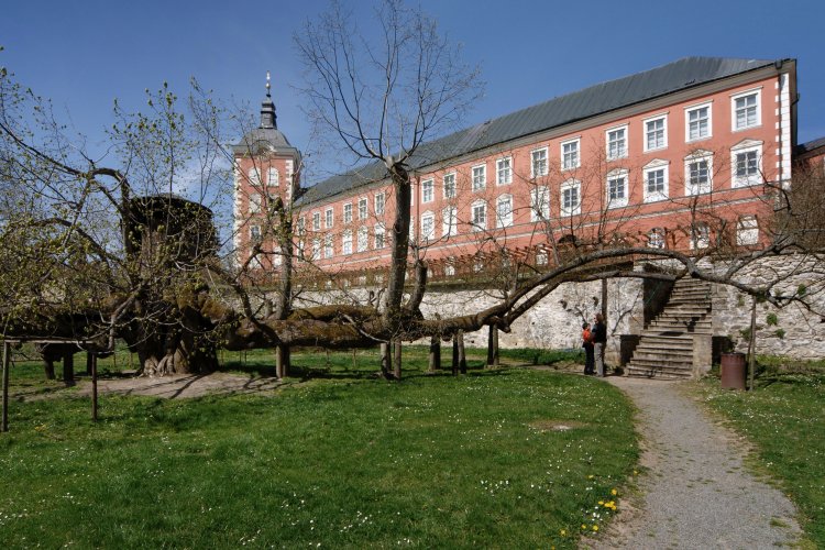 Kamenice nad Lipou Castle