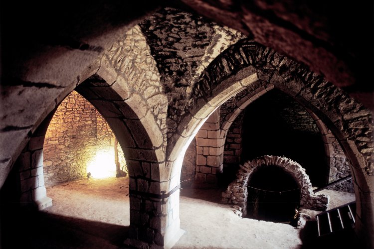 Hrad Lipnice nad Sázavou