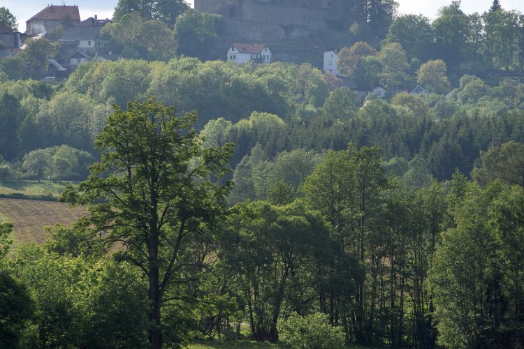 Hrad Lipnice nad Sázavou