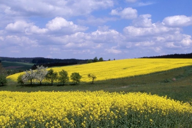 Havlíčkobrodsko