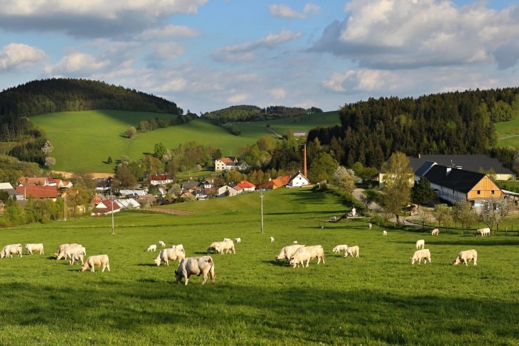 Jimramovské Pavlovice u Jimramova