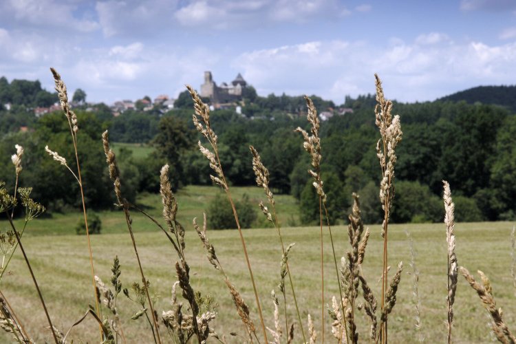 Lipnice nad Sázavou Castle