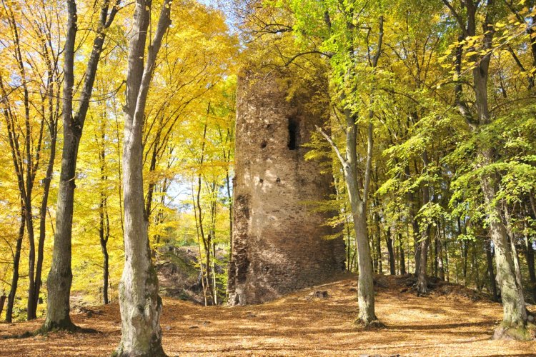 Chřenovice