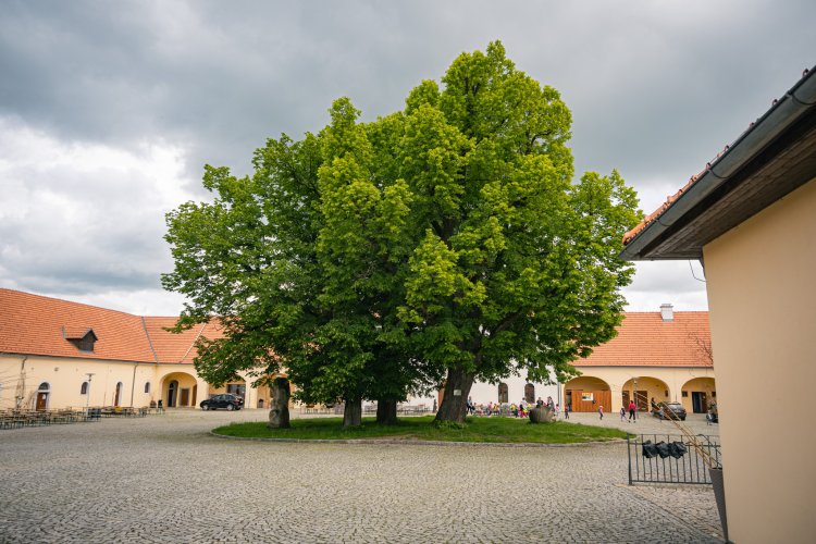 EDEN Centre