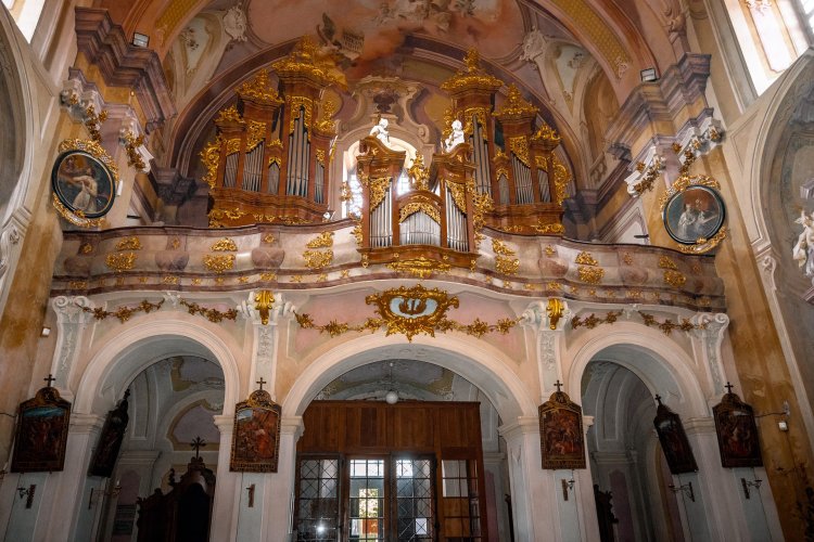 Organ