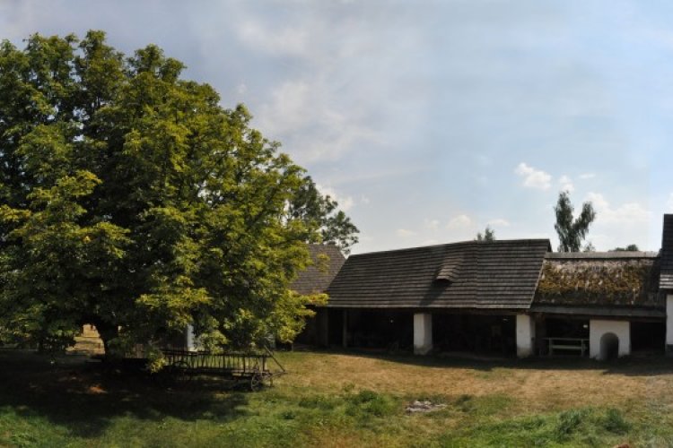 Michael's Farm