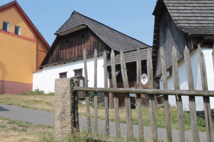 Michael's Farm